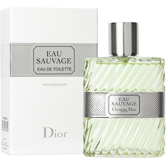 Dior Eau Sauvage Edt Masculino